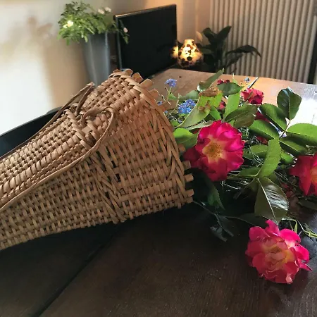 Διαμέρισμα Il Gerlo Lezzeno